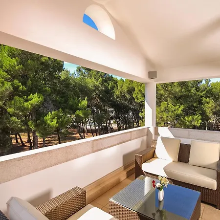 Vulin Veruda Villa *